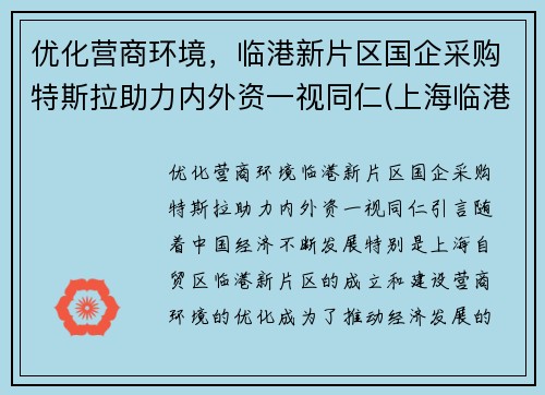 优化营商环境，临港新片区国企采购特斯拉助力内外资一视同仁(上海临港特斯拉配套公司)